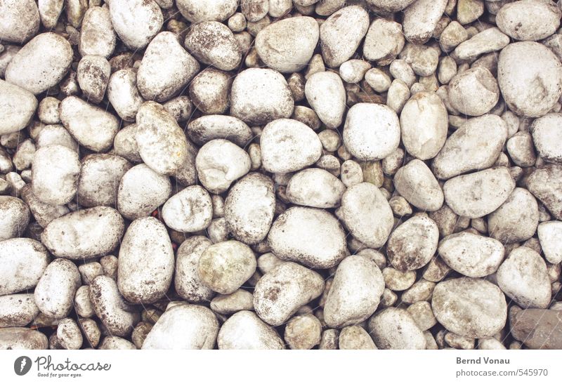 stone white Stone Brown Gray Black White Round Hard Pattern Bright Spotted Lie Flat Colour photo Exterior shot Deserted Day Light Deep depth of field