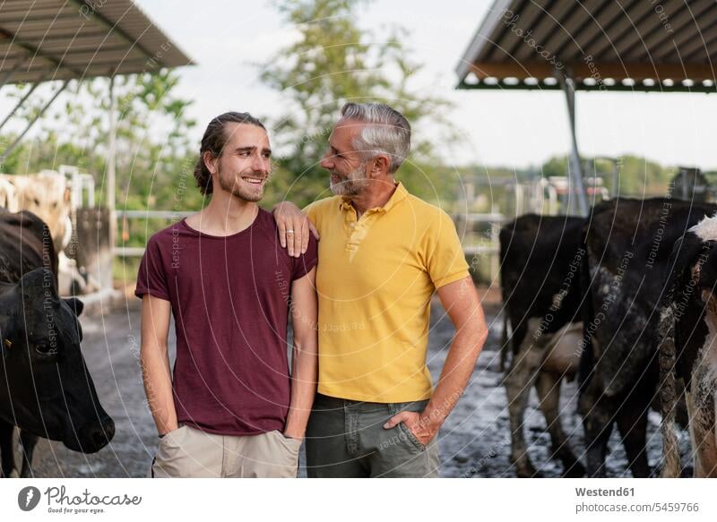 Smiling mature farmer with adult son at cow house on a farm Occupation Work job jobs profession professional occupation agriculturist agriculturists farmers