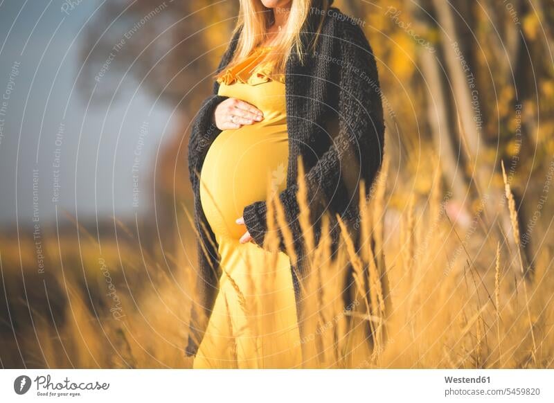 Close-up of pregnant woman standing in nature in autumn natural world females women Pregnant Woman Adults grown-ups grownups adult people persons human being