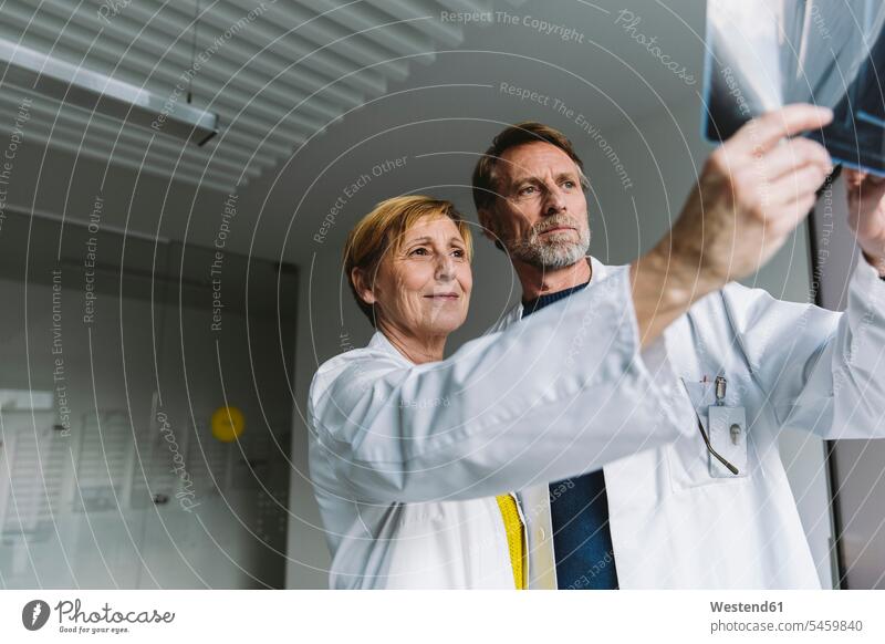 Two doctors discussing x-ray image human human being human beings humans person persons caucasian appearance caucasian ethnicity european 2 2 people 2 persons