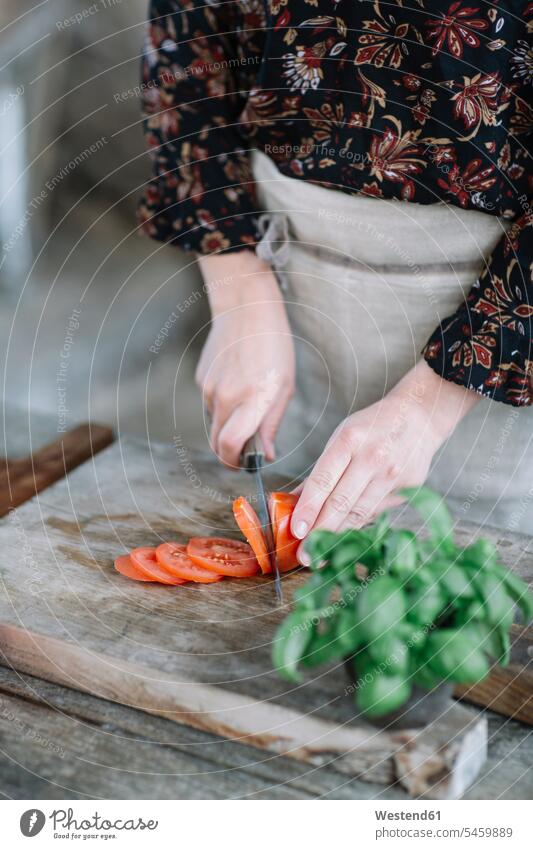 Woman preparing Caprese Salad, partial view Salads Food Preparation preparing food woman females women foods food and drink Nutrition Alimentation