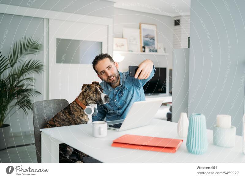 Mid adult man taking selfie with dog while working from home during coronavirus crisis, Almeria, Spain, Europe color image colour image indoors indoor shot
