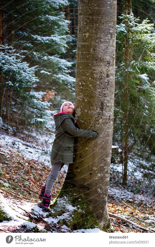 Girl hugging tree in forest in winter girl females girls embracing embrace Embracement woods forests hibernal child children kid kids people persons human being