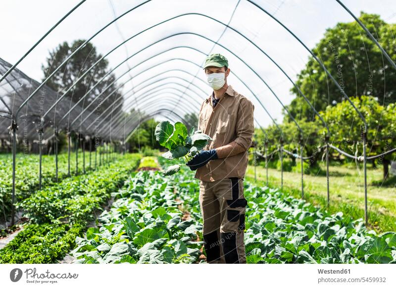 Farmer with protective mask in greenhouse with zucchini plants human human being human beings humans person persons caucasian appearance caucasian ethnicity