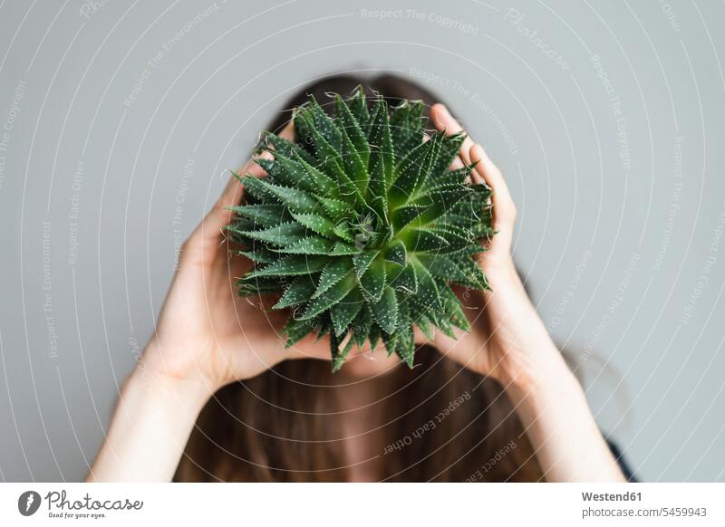 Woman holding plant in front of her face faces Plant Plants woman females women head heads people persons human being humans human beings Adults grown-ups