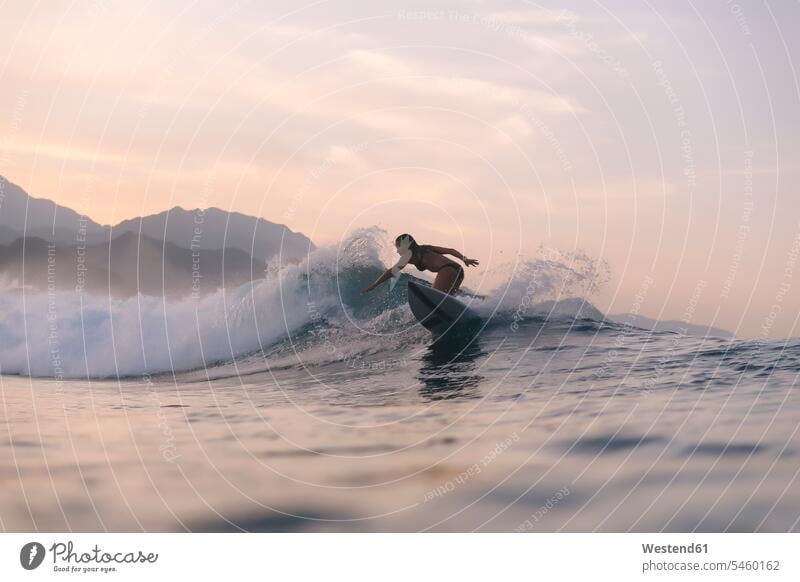 Indonesia, Sumatra, female surfer in the evening light surfing surf ride surf riding Surfboarding skill Ability skilled atmosphere atmospheric mood moody