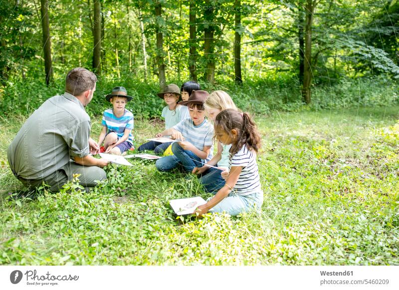 School children learning to distinguish animal species in forest animals creature creatures aves birds images picture pictures drawings hats colour colours