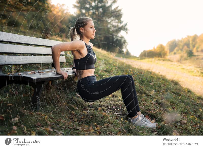 Young woman during workout on a bench females women exercising exercise training practising strength training triceps Adults grown-ups grownups adult people