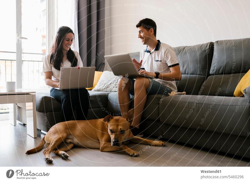 Couple working on laptops near dog in living room at home color image colour image indoors indoor shot indoor shots interior interior view Interiors day
