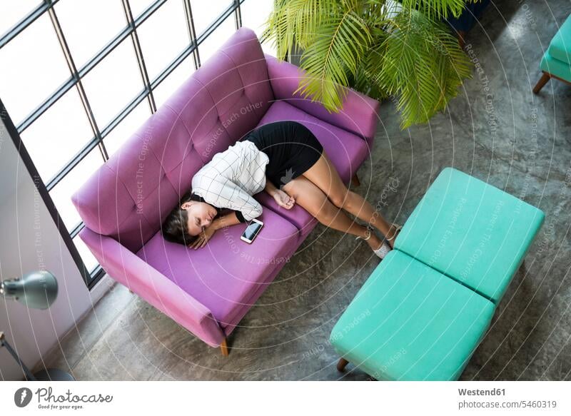 Top view of tired businesswoman sleeping on violet couch in office offices office room office rooms businesswomen business woman business women asleep settee