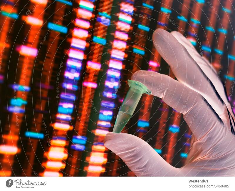 Scientist holding a DNA sample with the results on a computer sceeen in a laboratory Deoxyribonucleic Acid scientist test testing computer screen