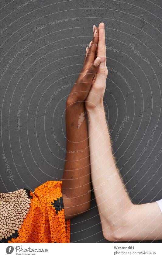 Couple joining hands in front of grey background touch Emotions Feeling Feelings Sentiment Sentiments loving connect connected Connections connectivity