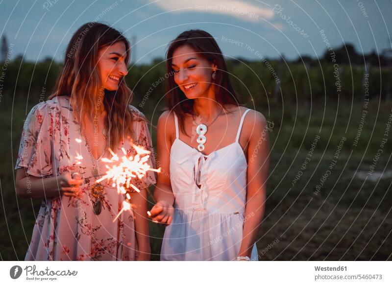 Friends having a picnic in a vinyard, burning sparklers on fire Picnic picnicking vineyard female friends standing Food foods food and drink Nutrition