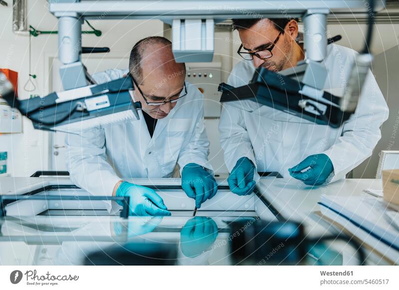 Male scientists preparing human brain slice while standing by freezer at laboratory color image colour image indoors indoor shot indoor shots interior