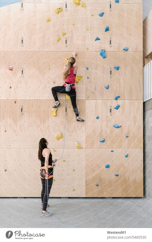 Woman with a rope securing partner on the wall in climbing gym (value=0) human human being human beings humans person persons caucasian appearance