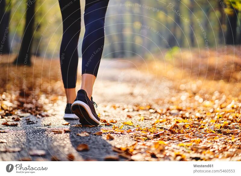 Young woman jogging in autumn forest back view view from the back human human being human beings humans person persons 1 one person only only one person adult