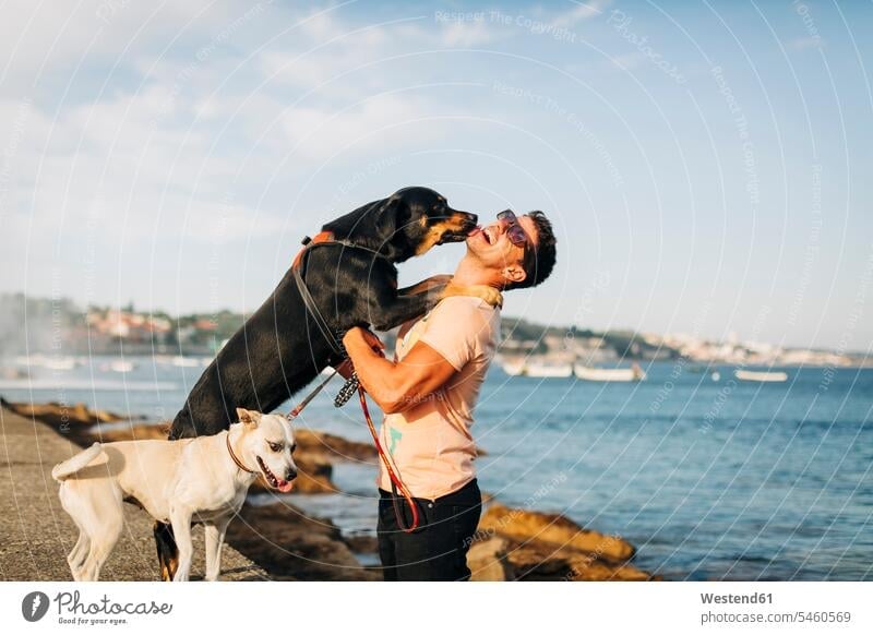 Cheerful man wearing sunglasses playing with dogs at beach against sky color image colour image Portugal leisure activity leisure activities free time