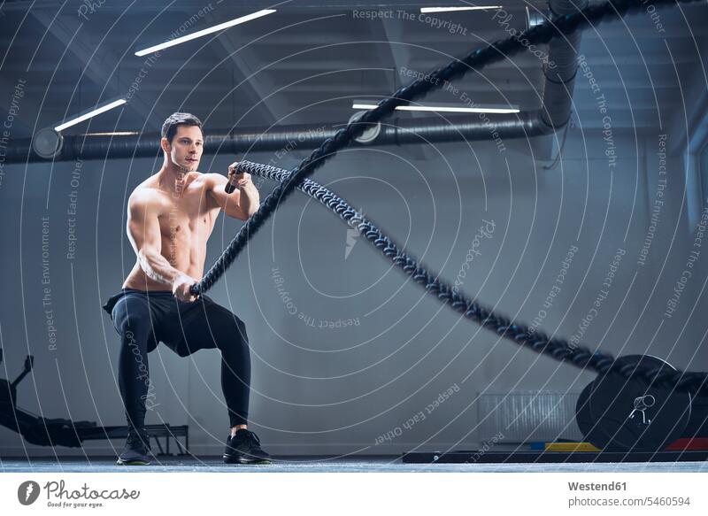 Athletic man exercising with battle ropes at gym exercise exercises sportive sporting sporty athletic men males gyms Health Club sports Adults grown-ups