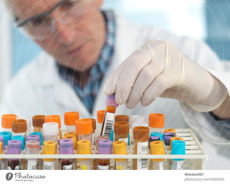 Medical technican checking blood samples in lab human human being human beings humans person persons caucasian appearance caucasian ethnicity european 1