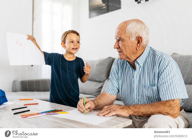 Grandfather and grandson drawing with coloured pencils in the living room sketching grandfather grandpas granddads grandfathers living rooms livingroom