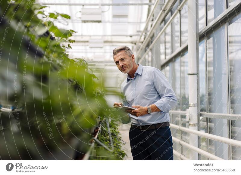 Male professional with digital tablet analyzing plants in greenhouse color image colour image Germany business people businesspeople Business Professional