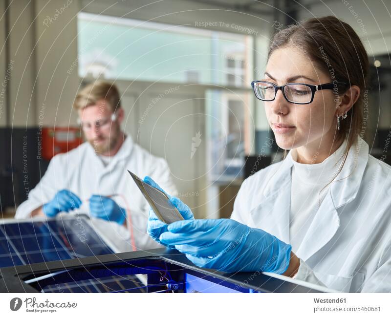 Two technicians working on solar cell in lab human human being human beings humans person persons caucasian appearance caucasian ethnicity european 2 2 people