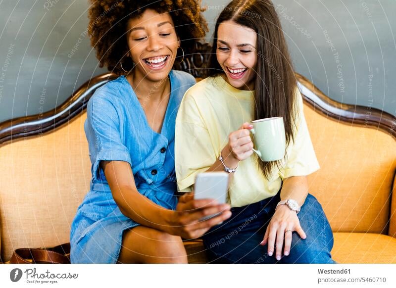 Cheerful women taking selfie through smart phone while sitting on sofa in modern cafe color image colour image indoors indoor shot indoor shots interior