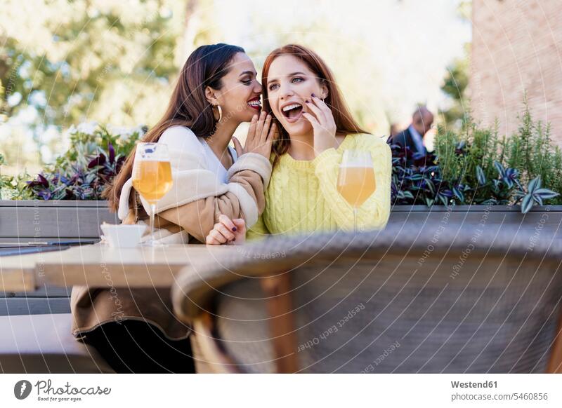 Two female friends whispering outdoors at a coffee shop mate Drinking Glass Drinking Glasses Beer Glasses Tables hear smile Seated sit speak speaking talk drink