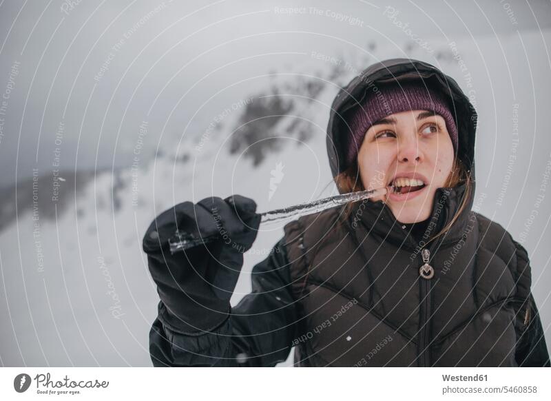 Austria, Kitzbuehel, portrait of young woman biting icicle females women biting off bite off portraits icicles Adults grown-ups grownups adult people persons