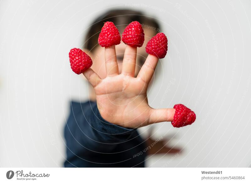 Girl's hand with raspberries on fingers colour colours funny having fun Alimentation food Food and Drinks Nutrition foods Fruits Berries Raspberries close up