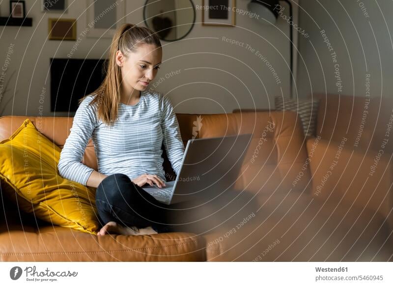 Young woman using laptop on couch at home human human being human beings humans person persons celibate celibates singles solitary people solitary person