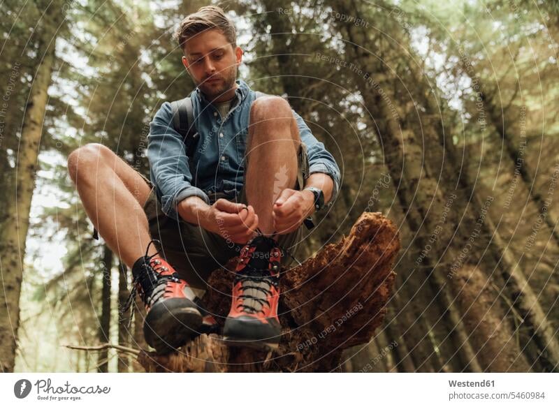 Mid adult man tying shoelace while sitting on wood against trees in forest color image colour image Ireland Republic of Ireland leisure activity