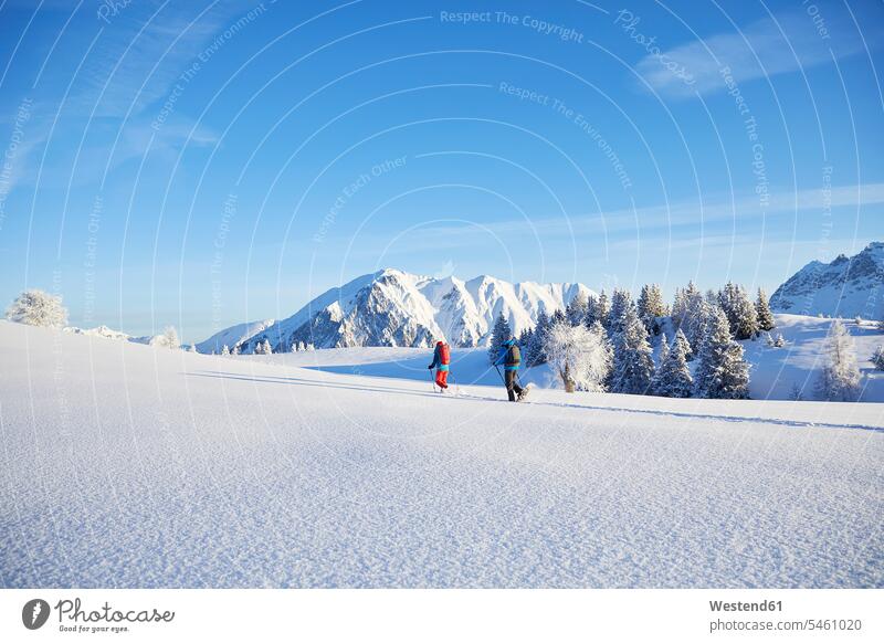 Austria, Tyrol, couple snowshoeing walking going winter hibernal active leisure free time leisure time twosomes partnership couples snowshoe hiker