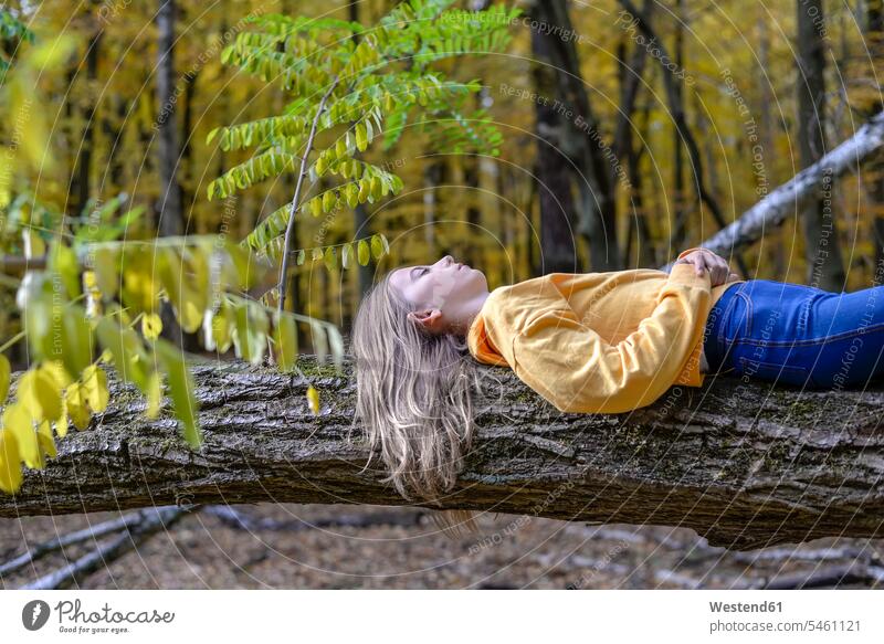 Girl lying on tree trunk in autumnal forest relaxing relaxation girl females girls woods forests autumnally laying down lie lying down Tree Trunk Tree Trunks