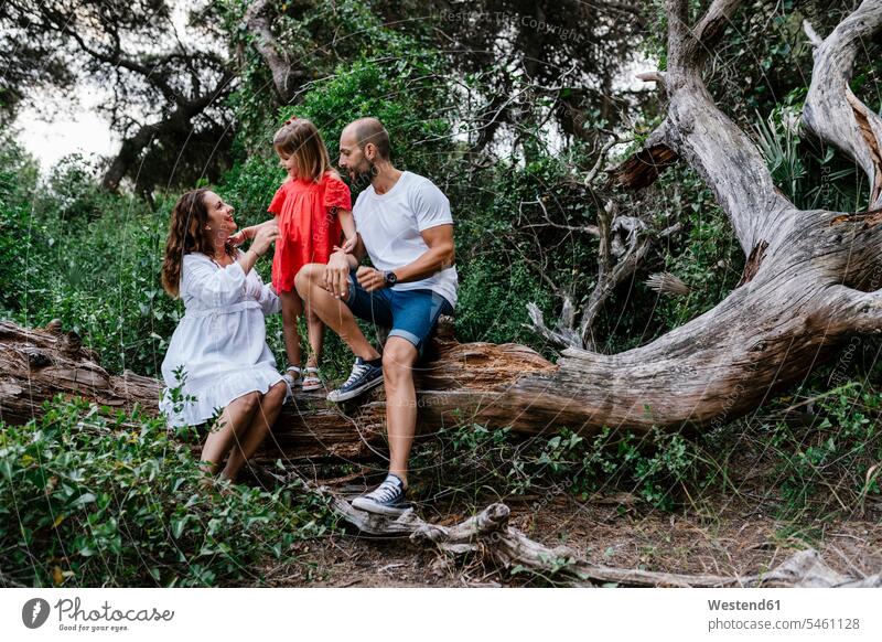 Family relaxing on fallen tree in forest color image colour image outdoors location shots outdoor shot outdoor shots day daylight shot daylight shots day shots