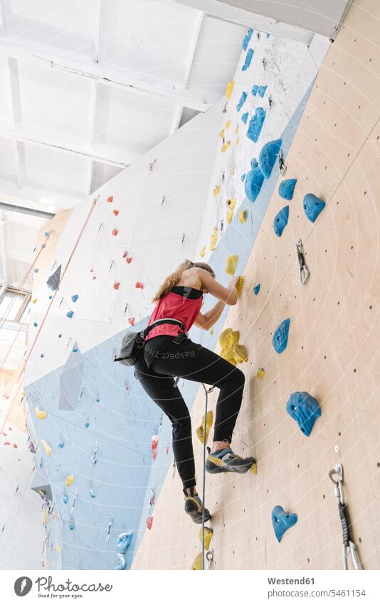Woman climbing on the wall in climbing gym (value=0) human human being human beings humans person persons caucasian appearance caucasian ethnicity european 1