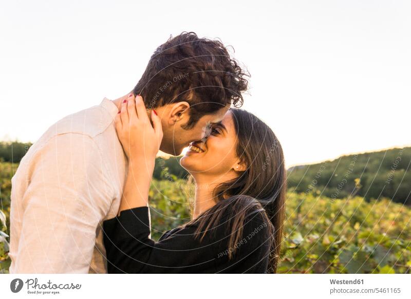 Italy, Tuscany, Siena, happy young couple kissing in a vineyard kisses twosomes partnership couples happiness agriculture people persons human being humans