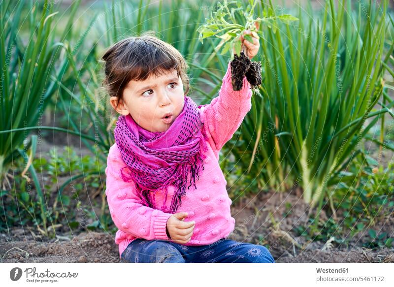 Portrait of toddler girl in the garden looking at small tomato plant in her hand scarf scarfs scarves sustainable lifestyle mindfulness aware awareness