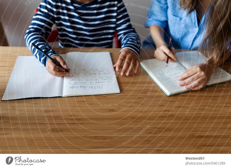 Female tutor with boy studying on table at home color image colour image Spain casual clothing casual wear leisure wear casual clothes Casual Attire Millennials
