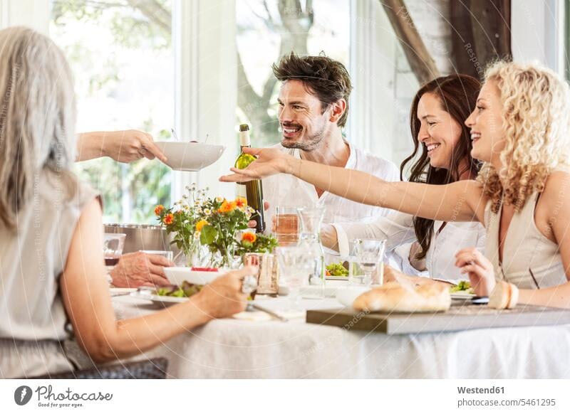 Happy family celebrating together, clinking glasses Germany Quality Time socializing sociability companionable socialising friends table decoration toothy smile