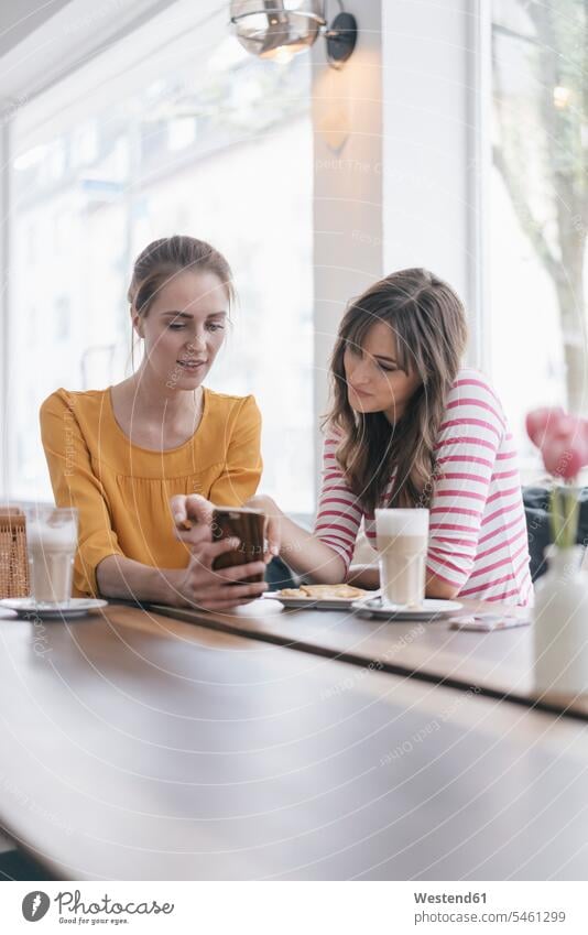 Two girlfriends meeting in a coffee shop, using smartphone female friends encounter gathering Smartphone iPhone Smartphones use cafe sitting Seated mate