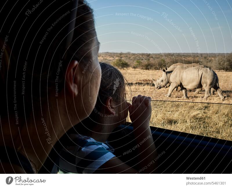 Mother and daughter admiring rhinoceroses through the car window, Mpumalanga, South Africa National Park National Parks Safari Animals Vehicle Interior