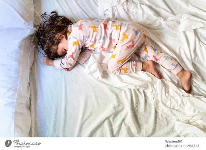 Top view of cute little girl sleeping in bed human human being human beings humans person persons caucasian appearance caucasian ethnicity european 1