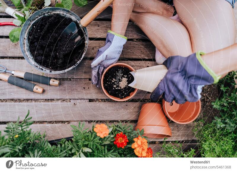 Mid adult woman planting seeds in flower pot while sitting at vegetable garden color image colour image Spain outdoors location shots outdoor shot outdoor shots