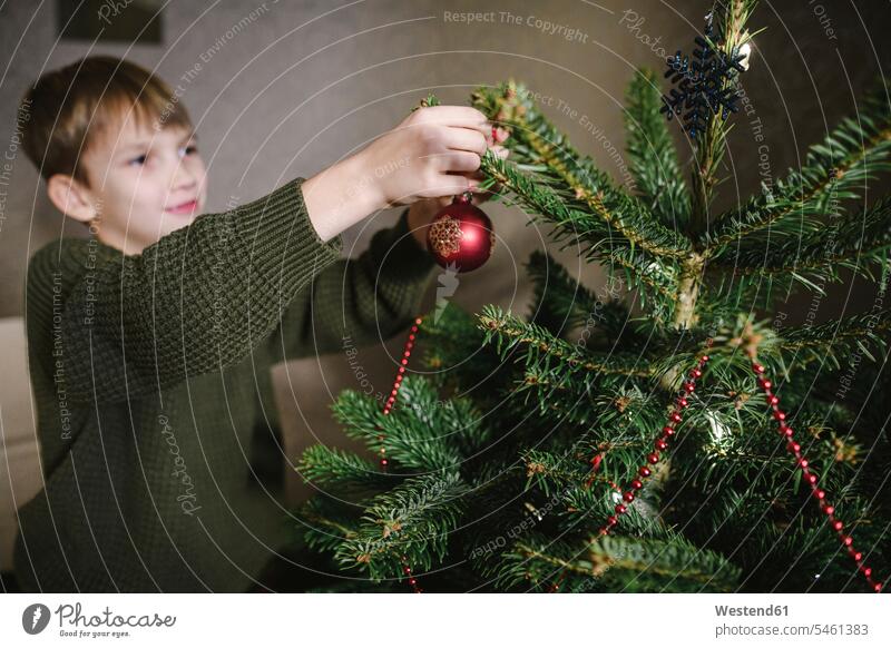 Boy decorating Christmas tree human human being human beings humans person persons caucasian appearance caucasian ethnicity european 1 one person only