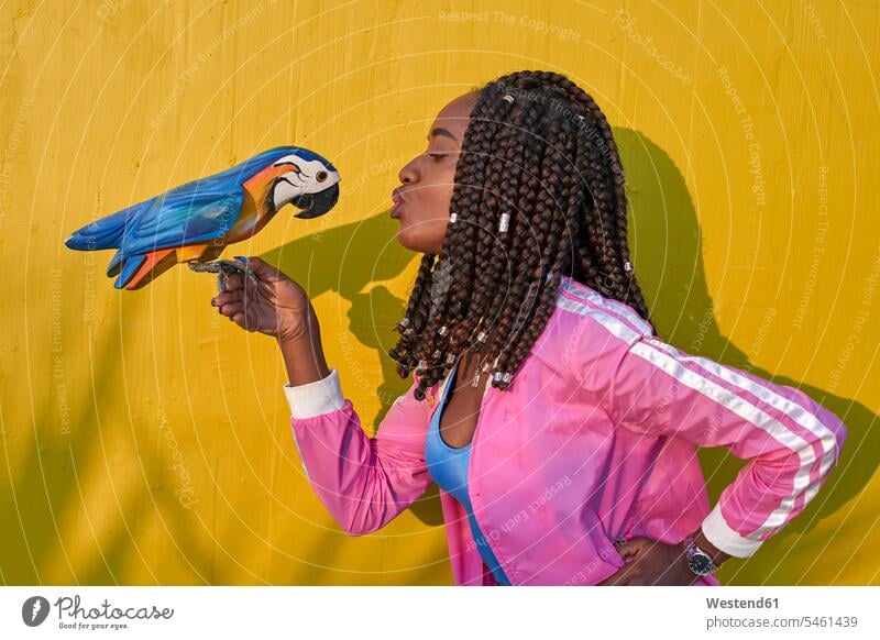 Woman kissing a wooden parrot on a yellow wall human human being human beings humans person persons African black black ethnicity coloured 1 one person only