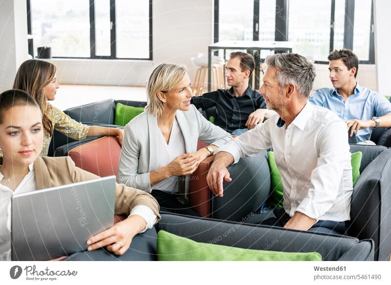 Business people meeting in sitting corner, talking human human being human beings humans person persons caucasian appearance caucasian ethnicity european Group