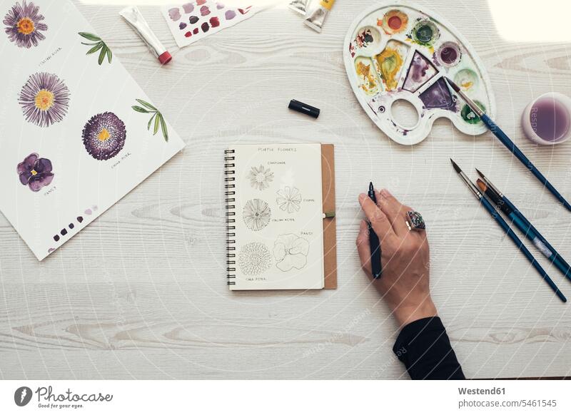 Woman drawing flowers, top view brushes jewelry rings pencil pencils pens paint colour colours free time leisure time Ideas creative Flowers Bloom Blooms