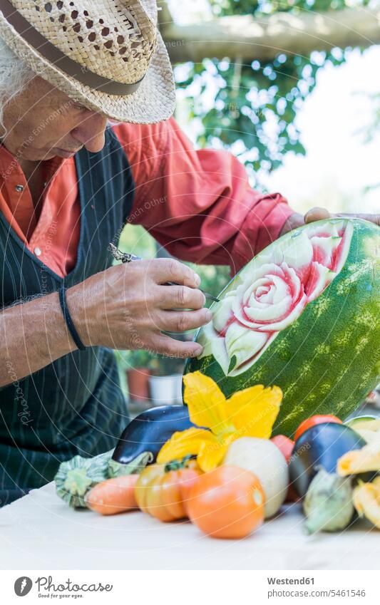 Senior man working on a watermelon with carving tool Carving whittling senior men senior man elder man elder men senior citizen males At Work Watermelon