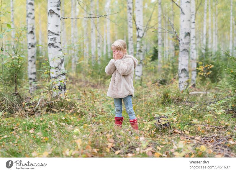 Blond girl playing Hide and Seek in a birch forest females girls blond blond hair blonde hair Hide And Seek Hide-And-Seek child children kid kids people persons